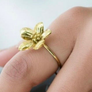 Bracelets + Rings